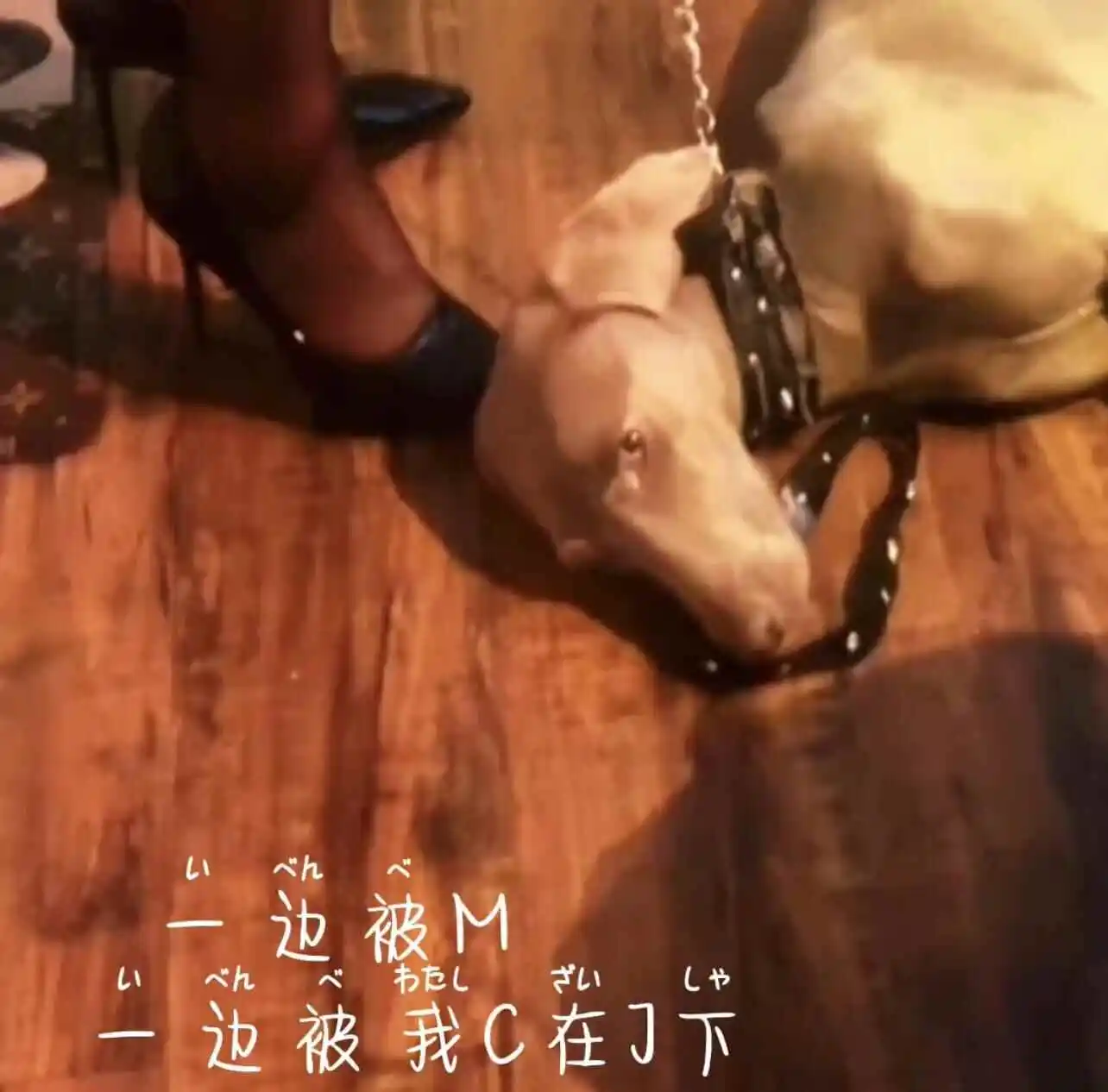 圣水：实用指南