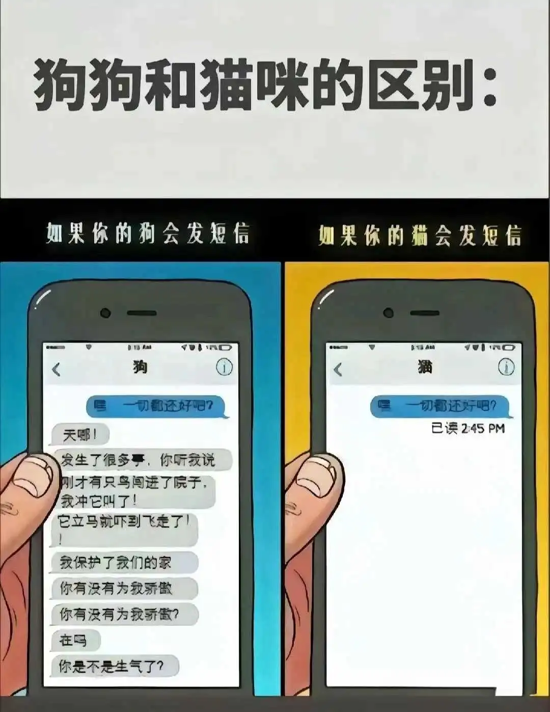 【西檬之家】字母圈新手指南：BDSM基本术语解析