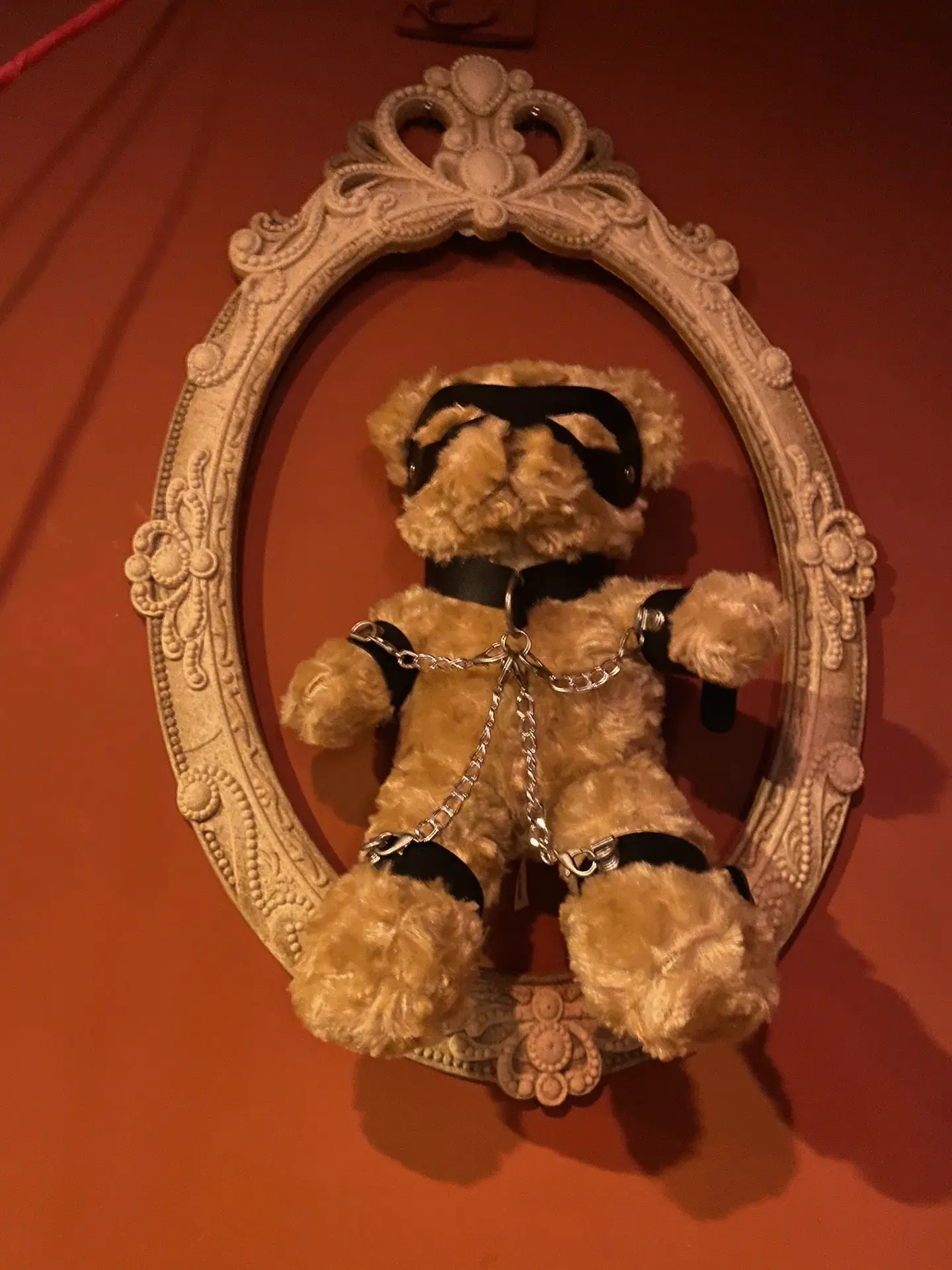 【西檬之家】字母圈小圈是什么？BDSM新人入圈指南
