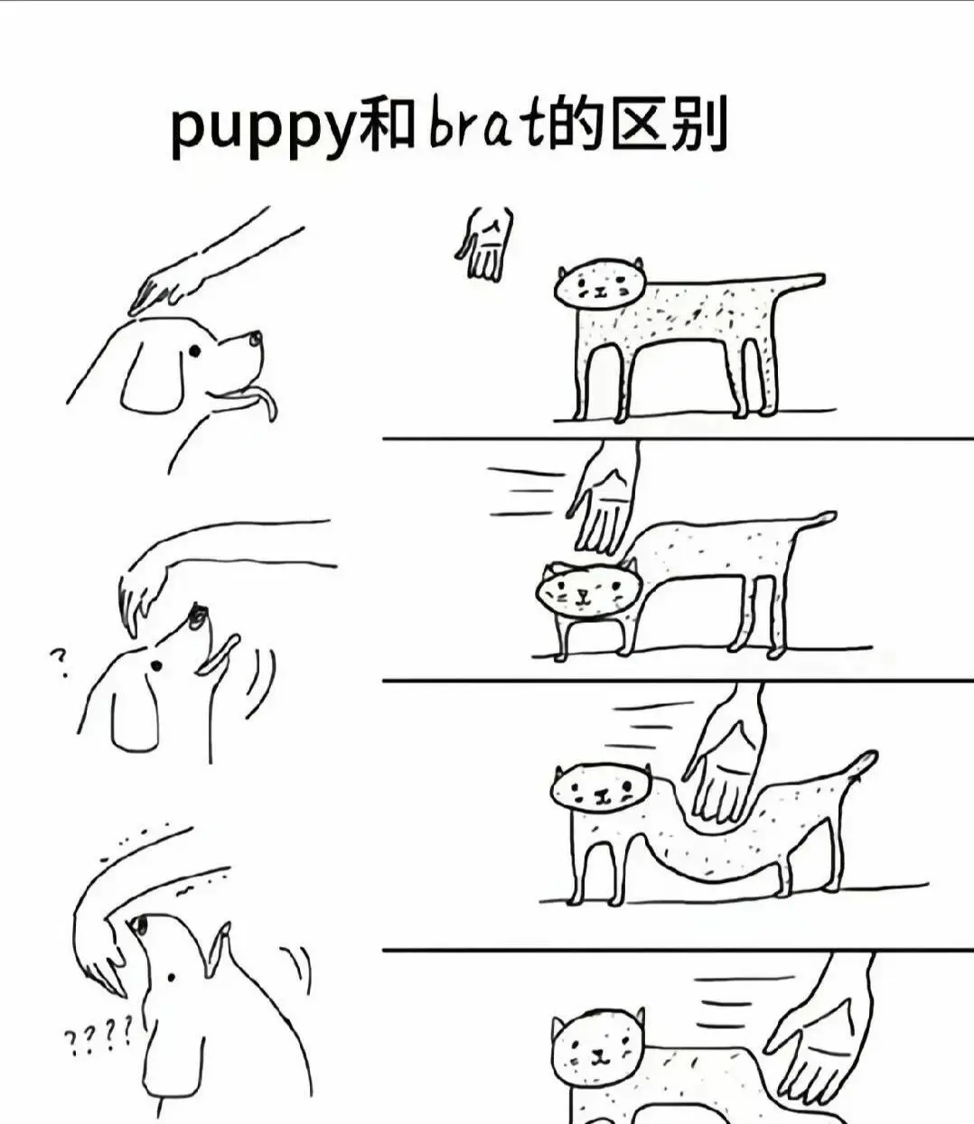 【西檬之家】K9是什么？BDSM圈内角色解析与安全入圈指南