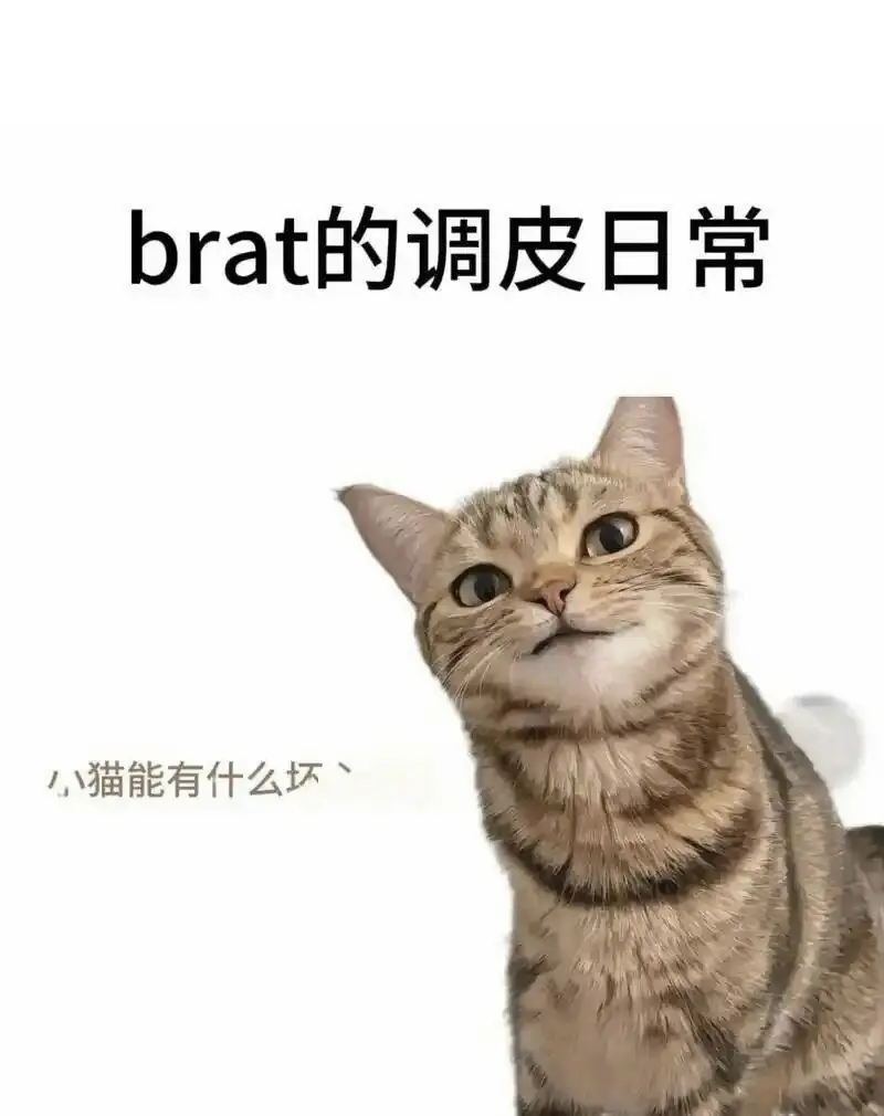 【西檬之家】DS关系全解析：字母圈新人的权力交换指南