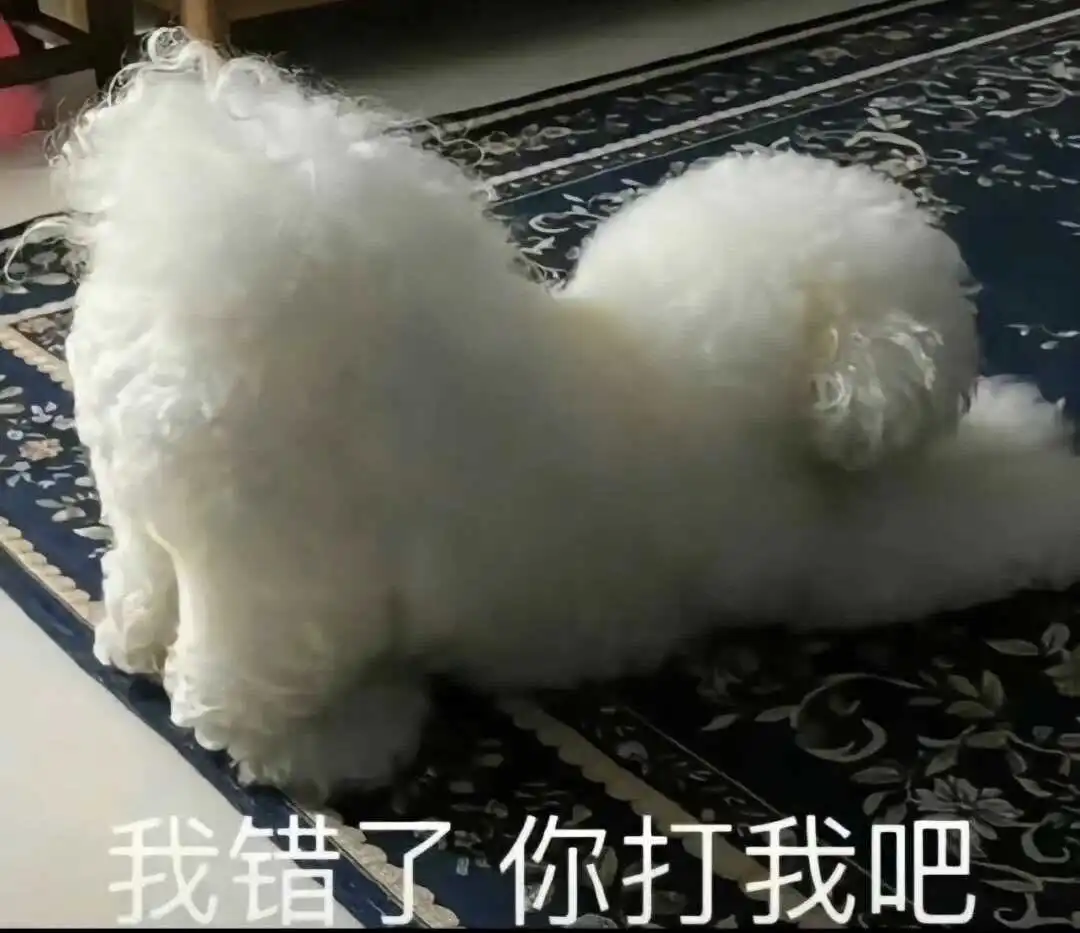 西檬之家-字母圈新人入圈指南：读懂M倾向与核心术语